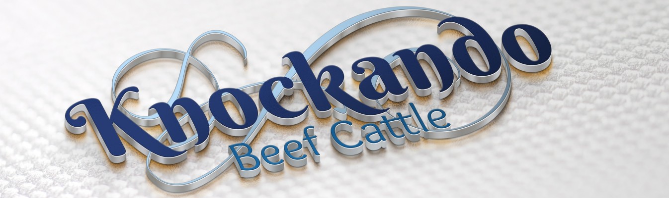Home of Knockando Stud Beef Cattle